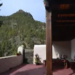 Lomito Del Pino *
