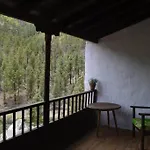 Lomito Del Pino *